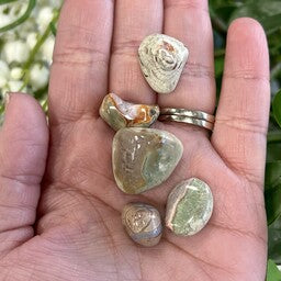 Australian Opal - Tumbled Smooth