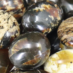 Blue Zebra Amber - Tumbled