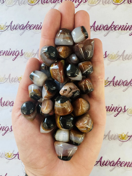 Shiva Eye Agate - Small Tumbled