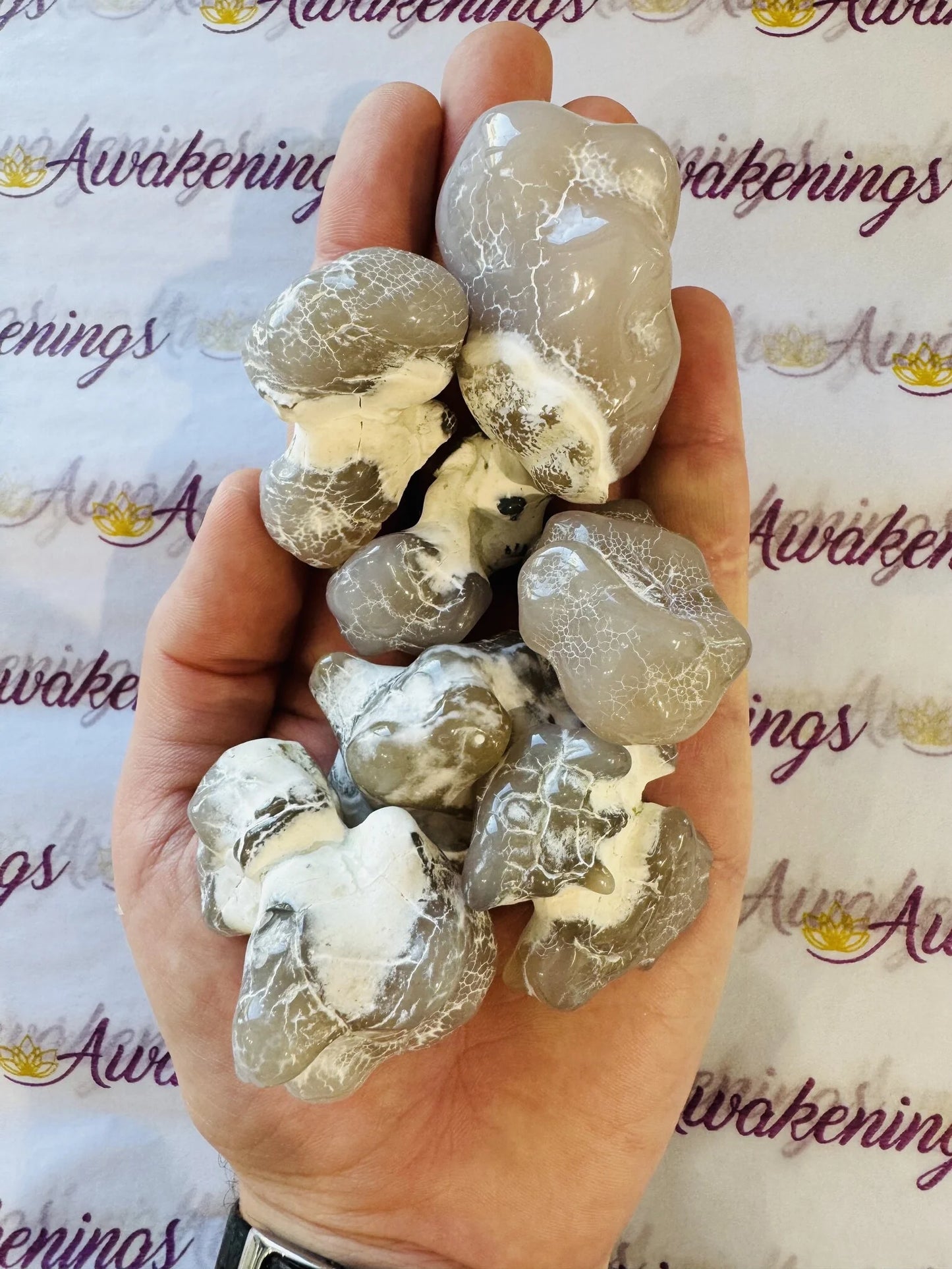 Snakeskin Snake Skin Agate - Tumbled Large