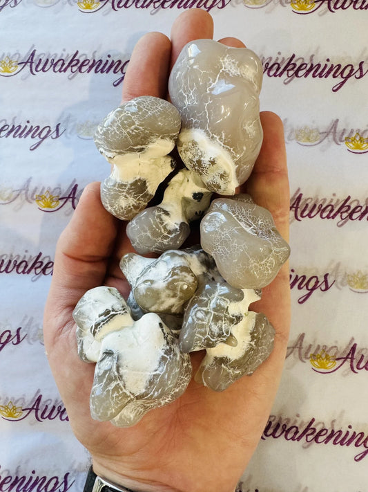 Snakeskin Snake Skin Agate - Tumbled Large