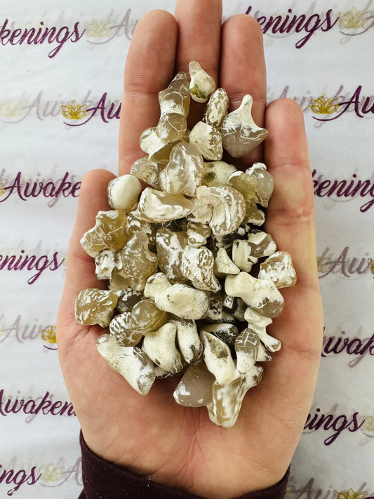 Snakeskin Snake Skin Agate - Tumbled