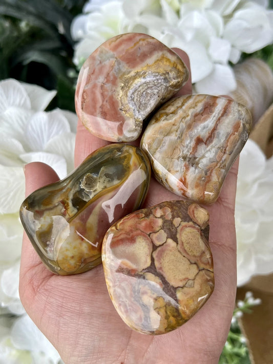 South Dakota Prairie Agate - Tumbled XXL