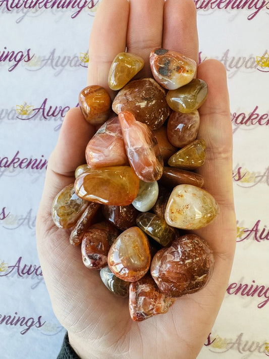 South Red Agate - Tumbled