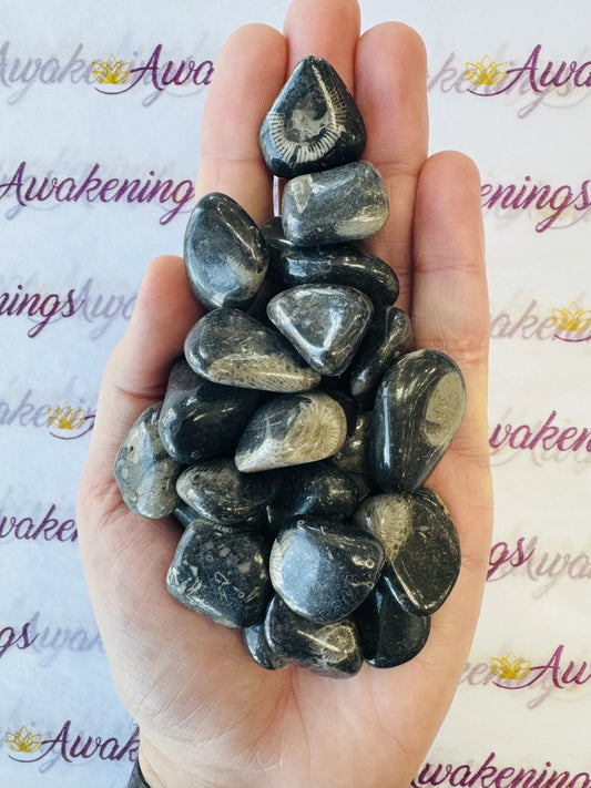 Vatican Stone - Tumbled