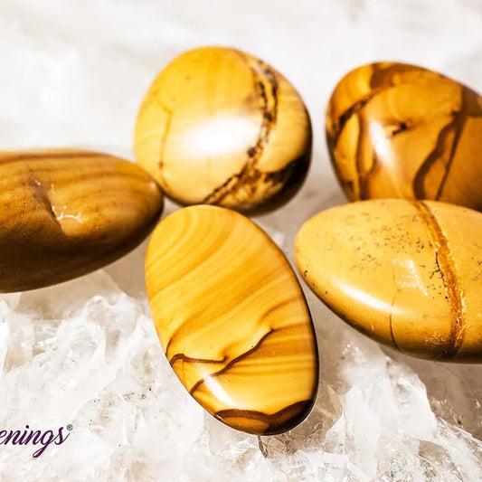 Walnut Jasper- Tumbled