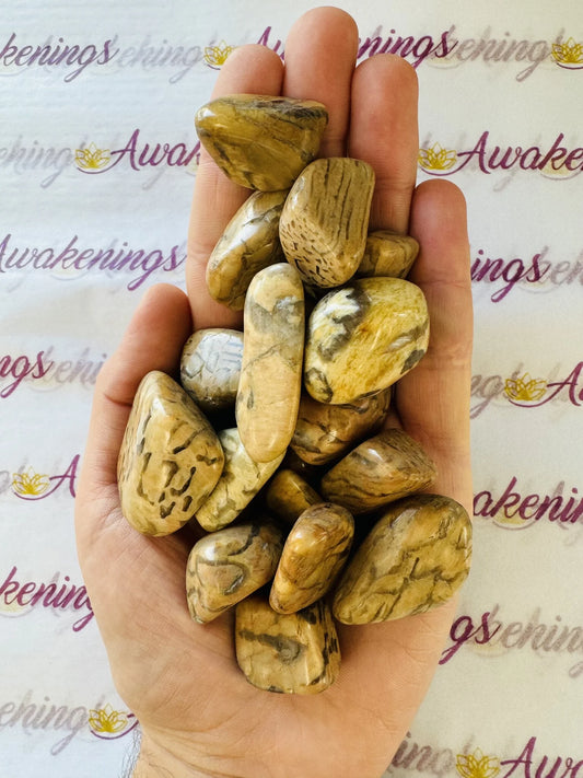 Zebradorite - Tumbled