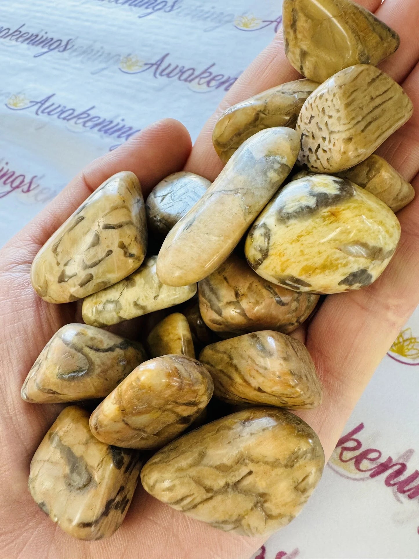 Zebradorite - Tumbled