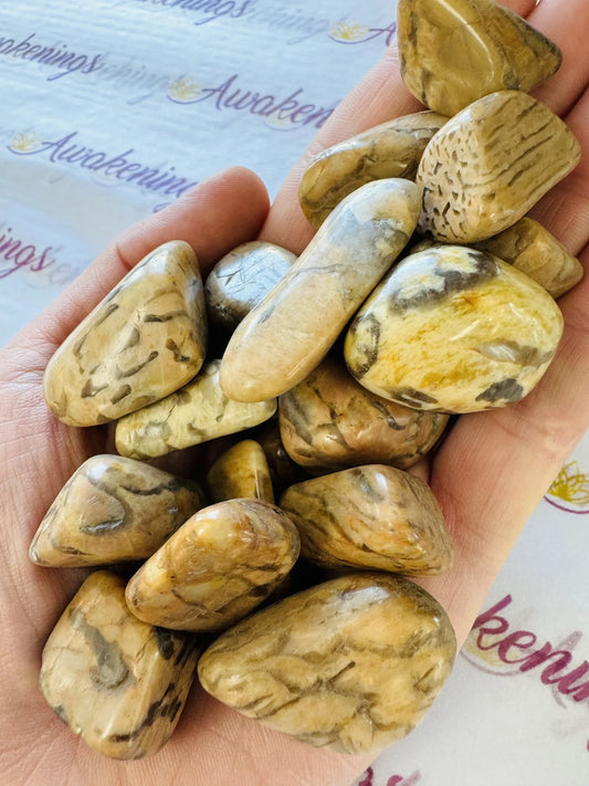 Zebradorite - Tumbled