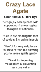 Crazy Lace Agate Bracelet - 8mm