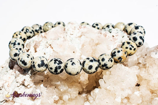 Dalmatian Jasper Bracelet- 8mm