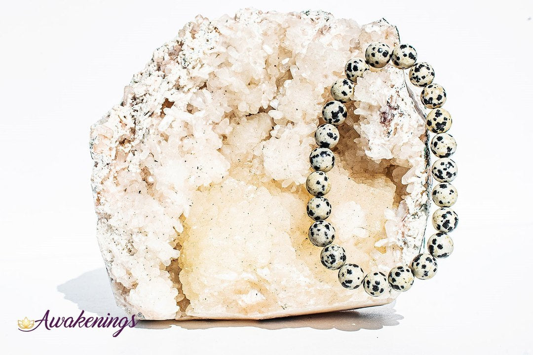 Dalmatian Jasper Bracelet- 8mm