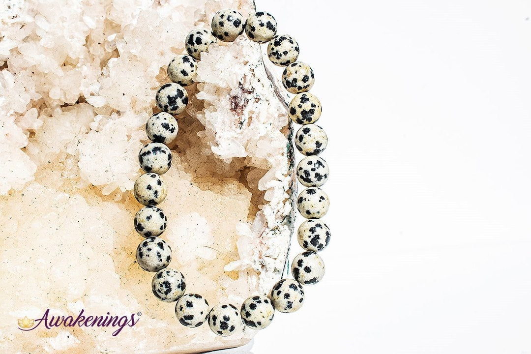 Dalmatian Jasper Bracelet- 8mm