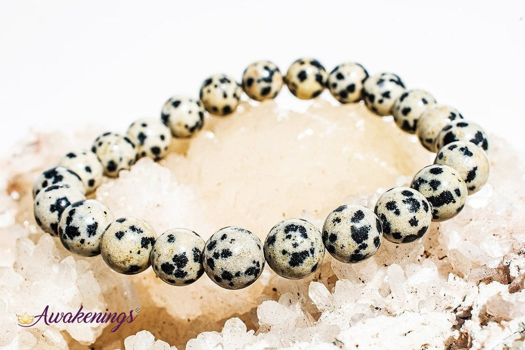 Dalmatian Jasper Bracelet- 8mm