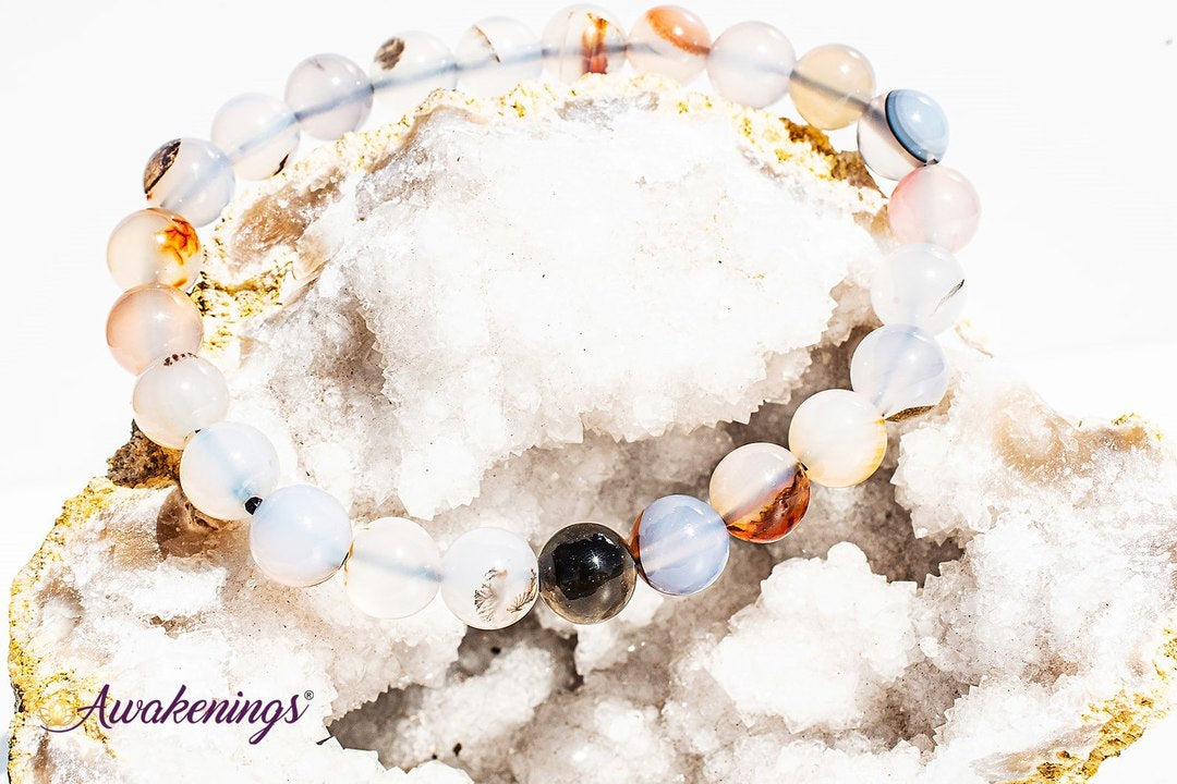 Dendric Agate Bracelet-8mm