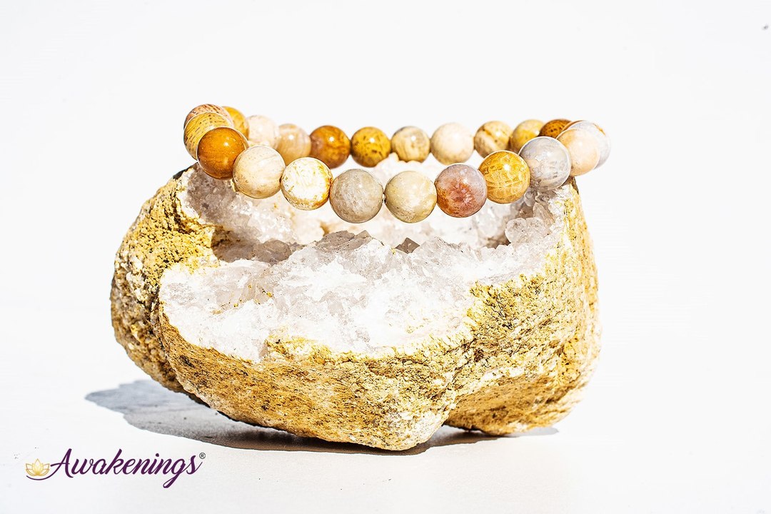 Fossilized Bracelet-8mm