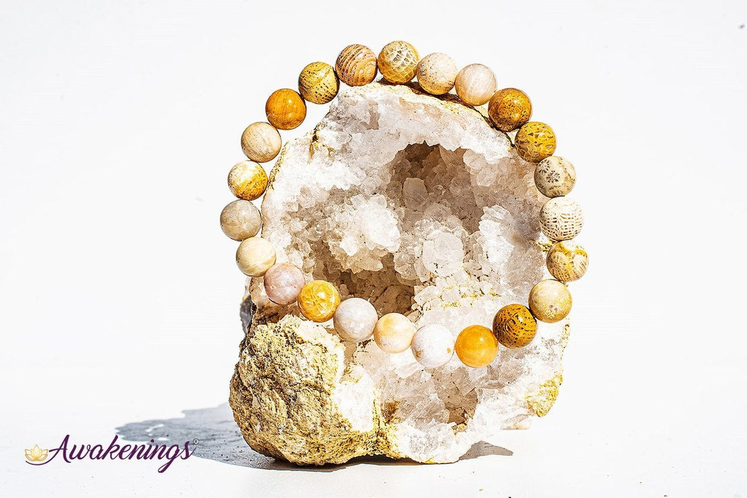 Fossilized Bracelet-8mm