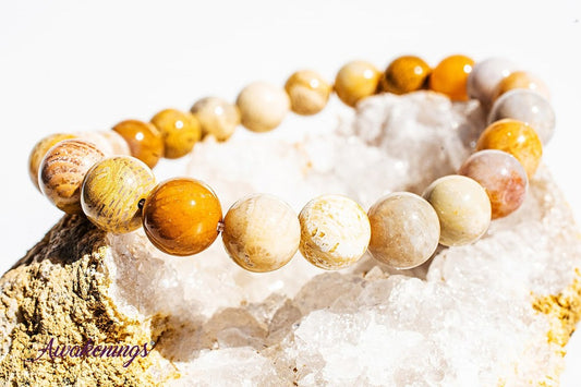 Fossilized Bracelet-8mm