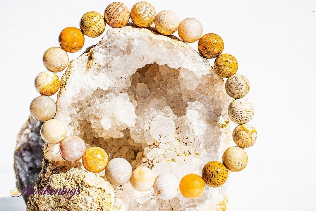 Fossilized Bracelet-8mm