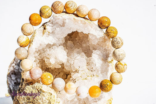 Fossilized Bracelet-8mm