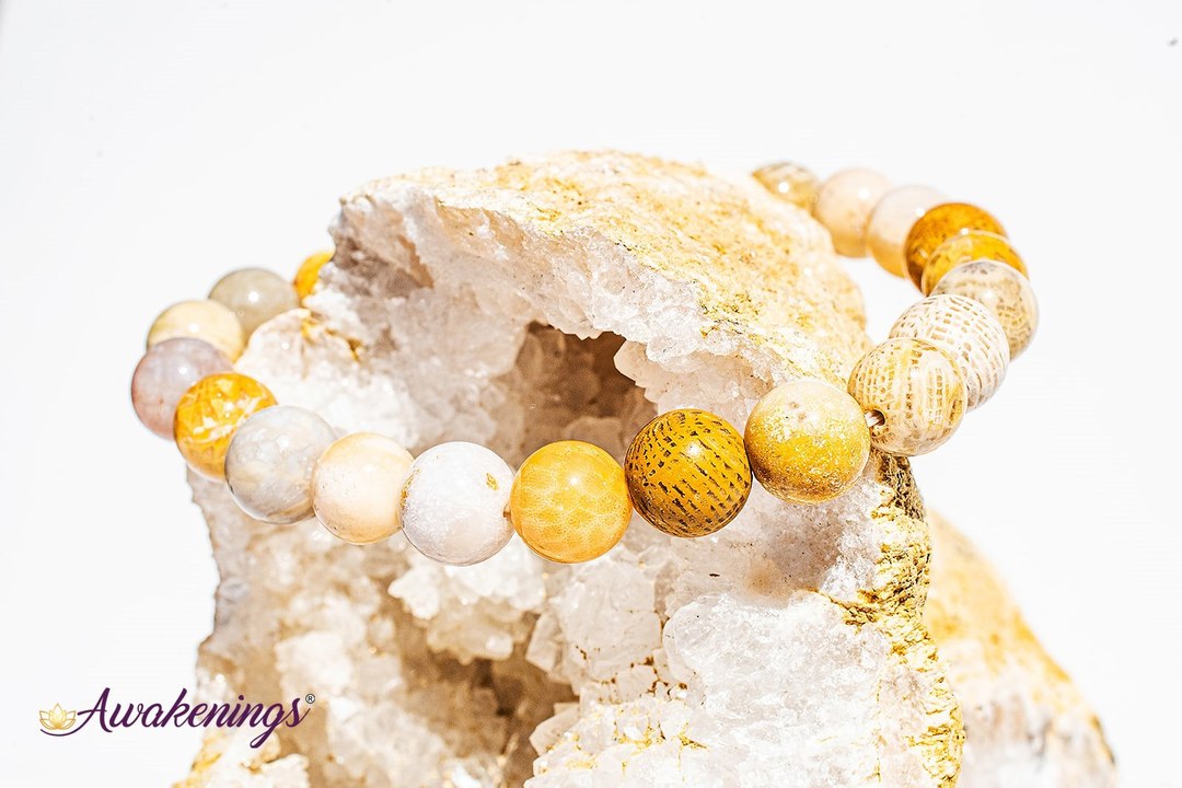 Fossilized Bracelet-8mm