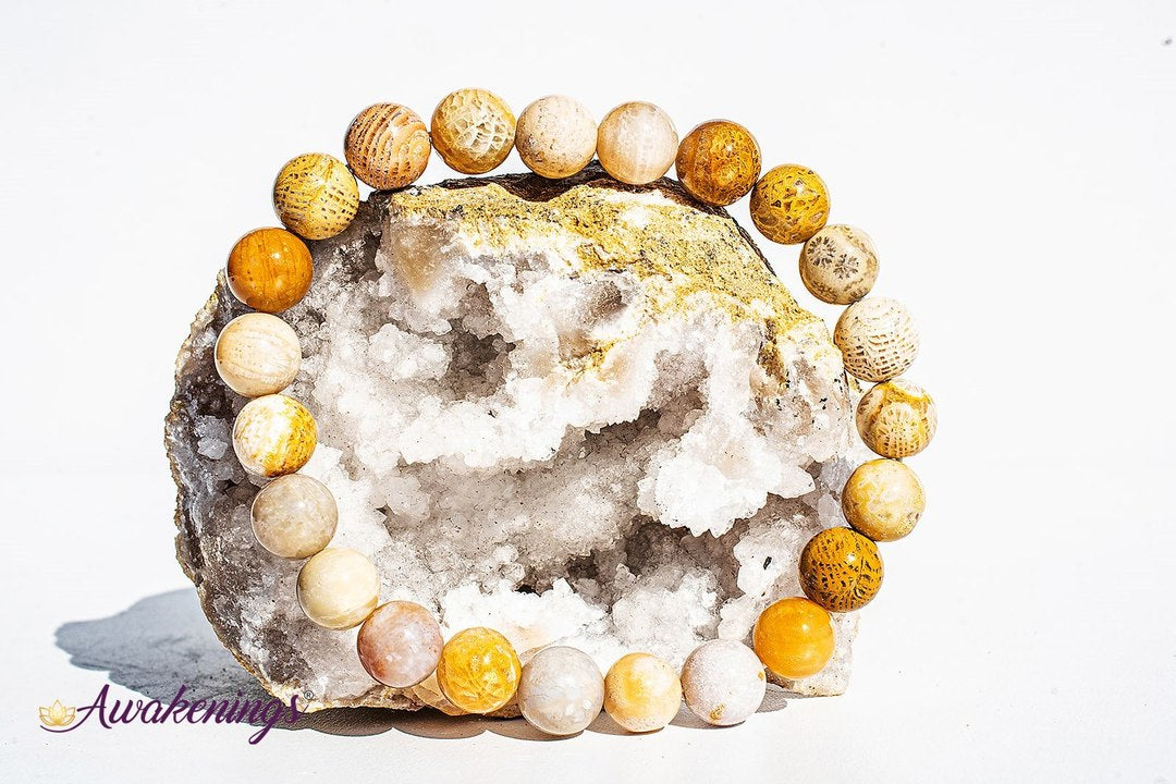 Fossilized Bracelet-8mm