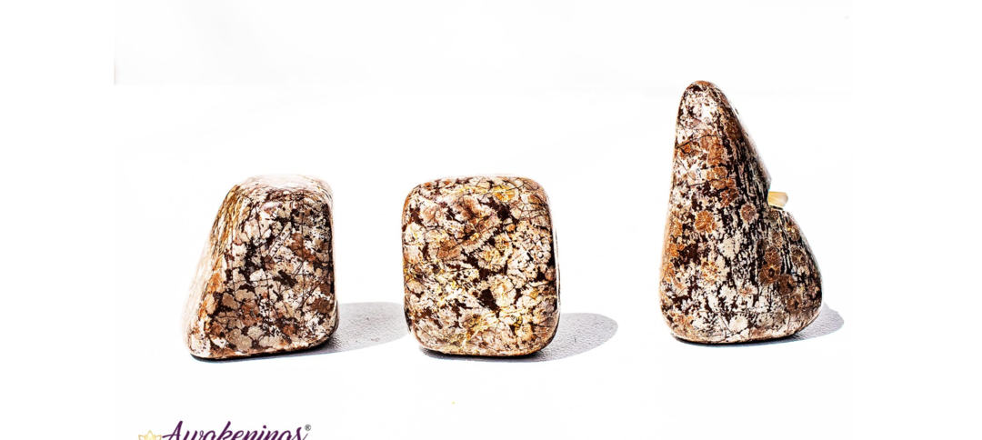 Brown Chocolate Snowflake Obsidian- Tumbled