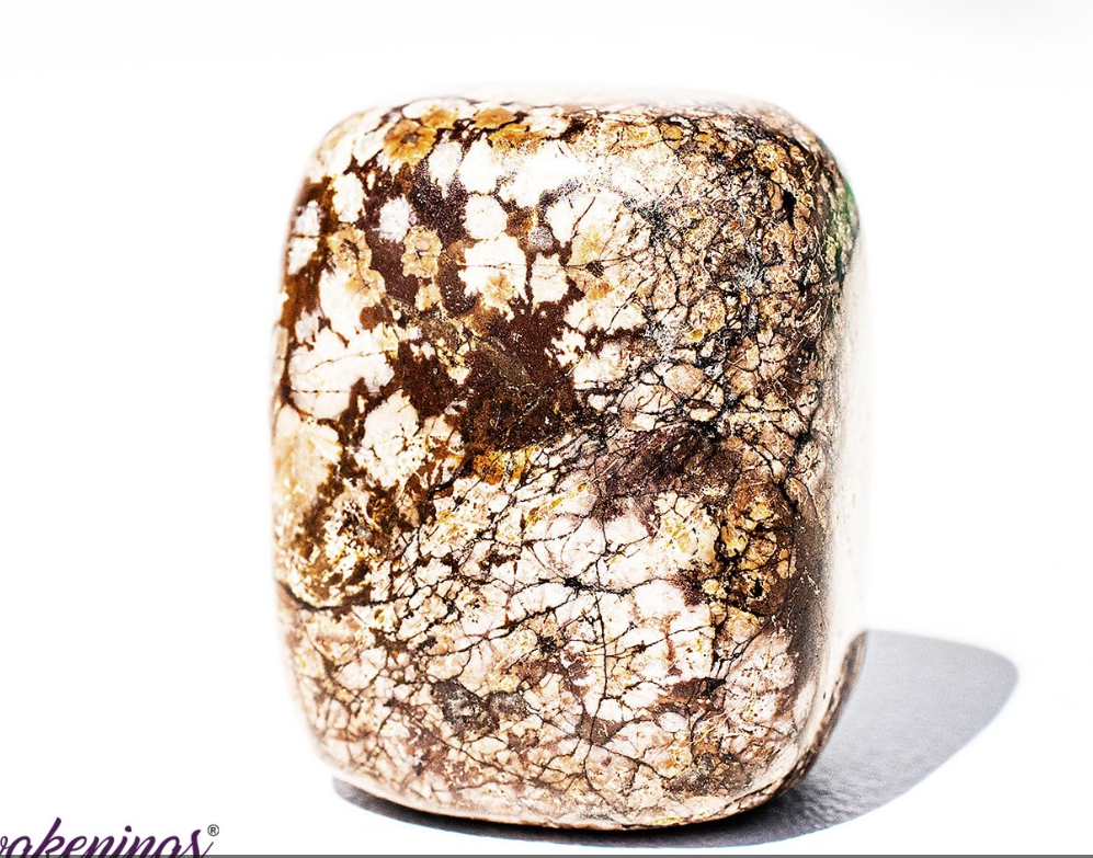 Brown Chocolate Snowflake Obsidian- Tumbled