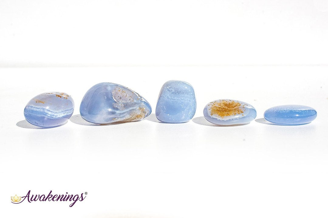 Blue Lace Agate - Tumbled