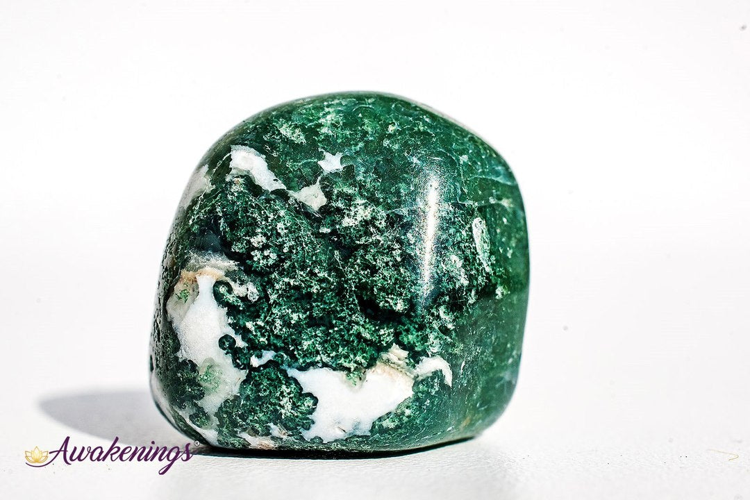 Lizardskin Agate- Tumbled