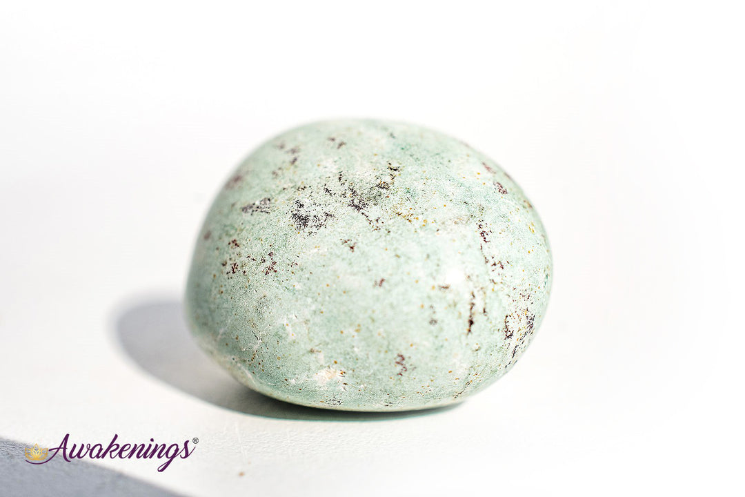 Lizardskin Agate- Tumbled