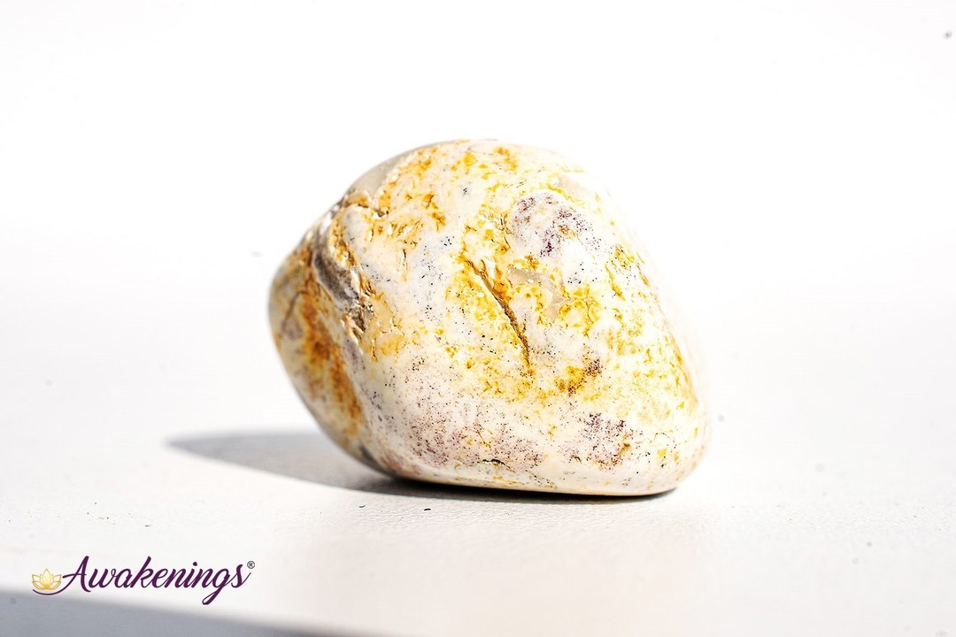 Lizardskin Agate- Tumbled