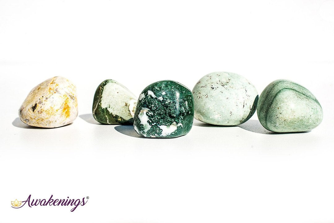 Lizardskin Agate- Tumbled