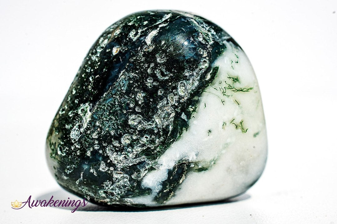 Large Tree Agate - Tumbled