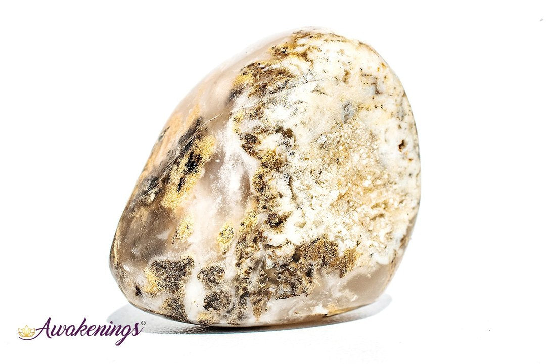 Dendritic Agate - Tumbled