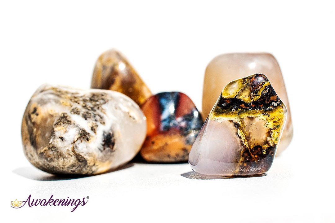 Dendritic Agate - Tumbled