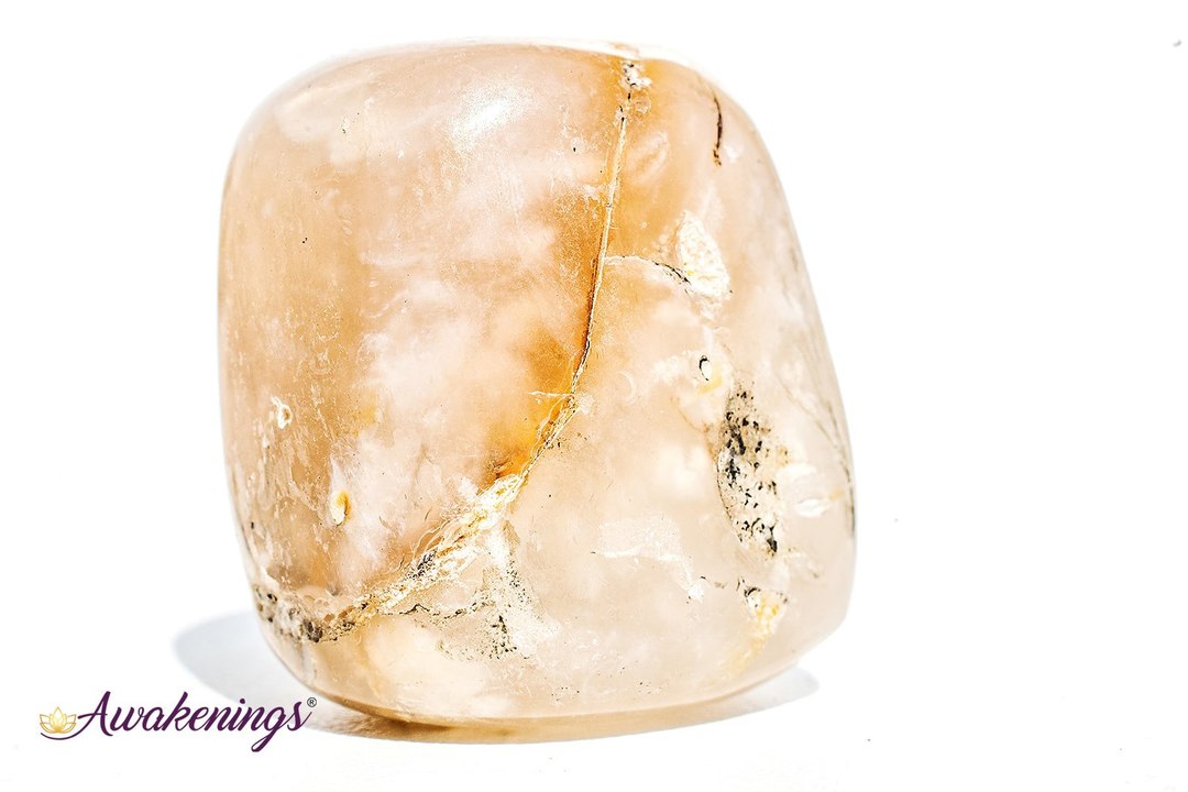 Dendritic Agate - Tumbled