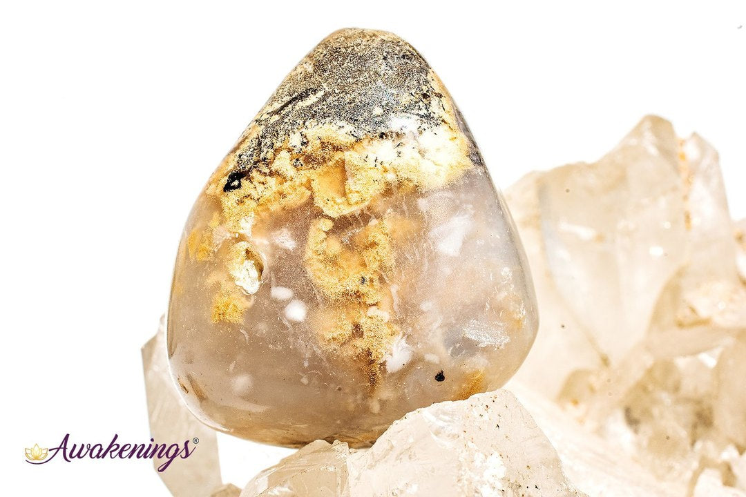 Dendritic Agate - Tumbled