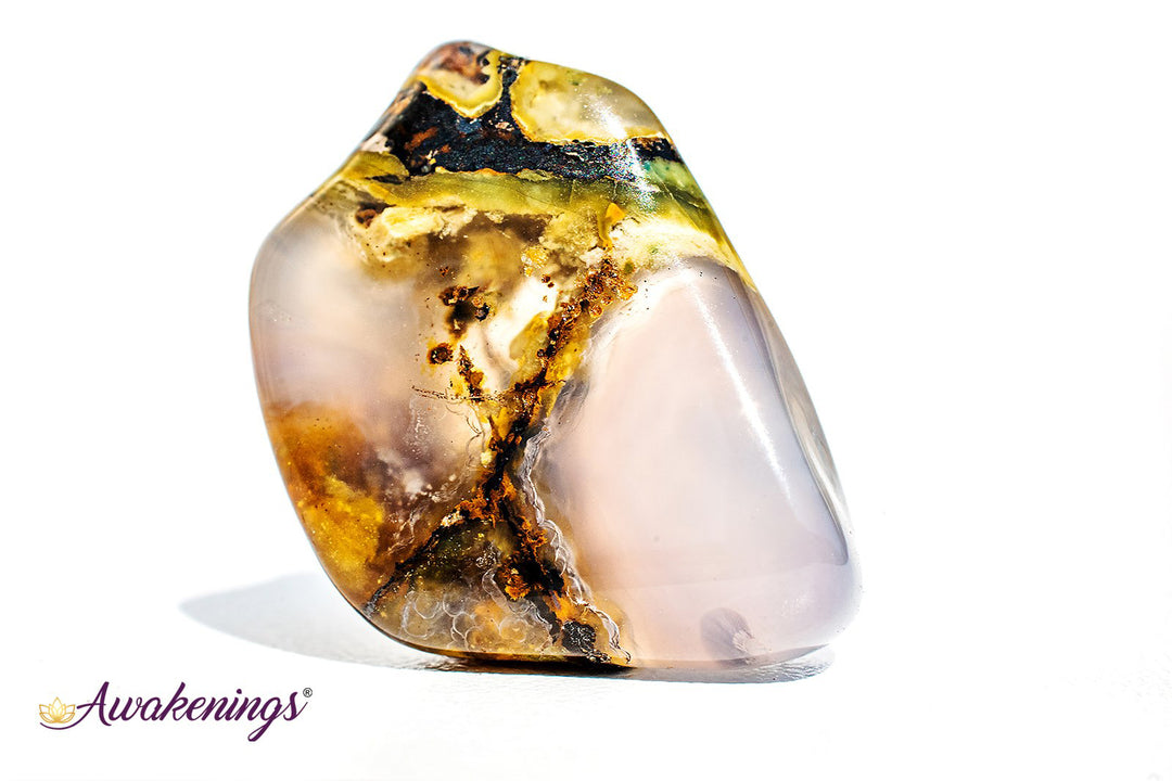 Dendritic Agate - Tumbled