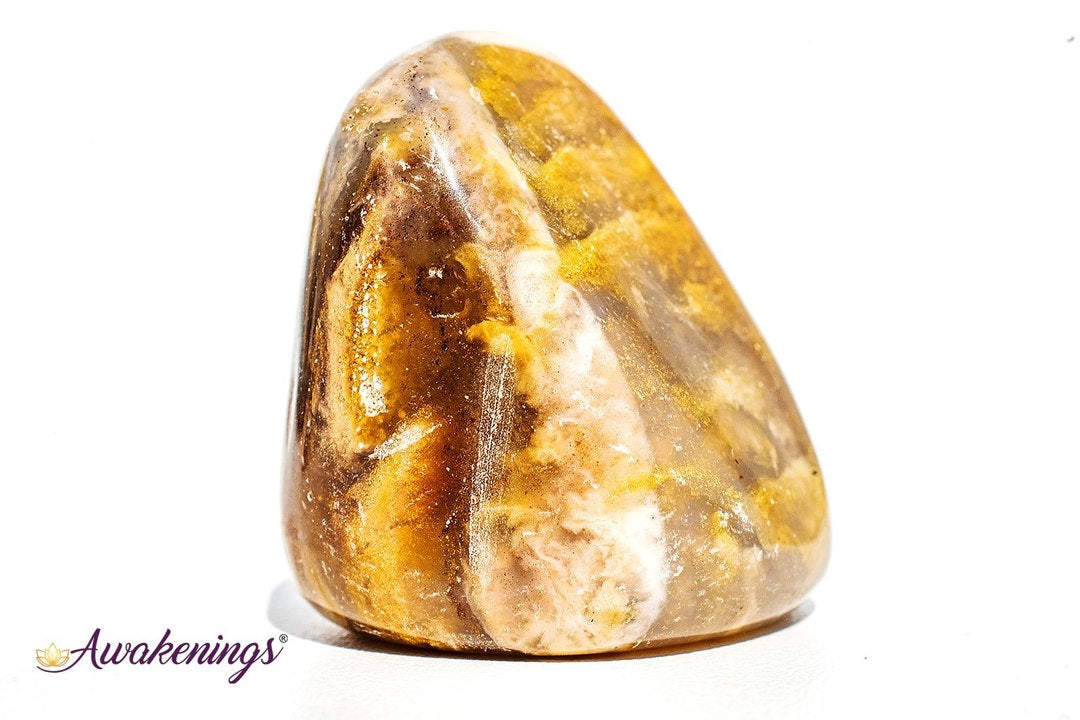 Dendritic Agate - Tumbled