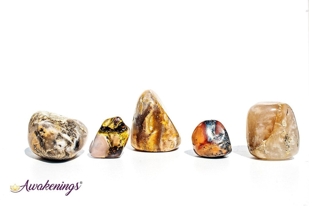 Dendritic Agate - Tumbled