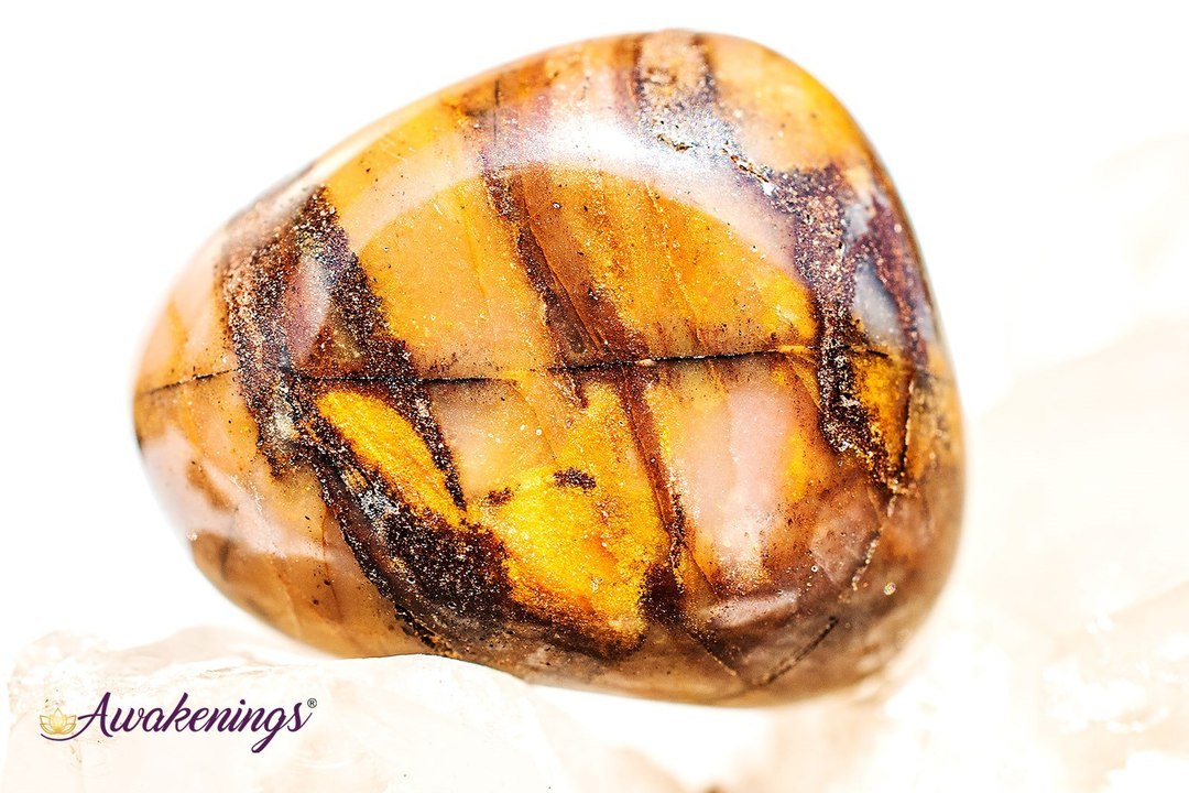 Bamboo Leaf Agate - Tumbled