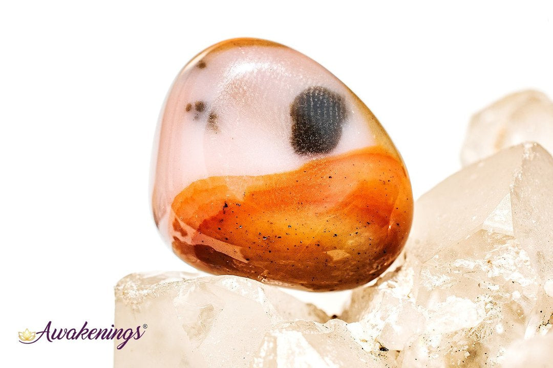 Bamboo Leaf Agate - Tumbled