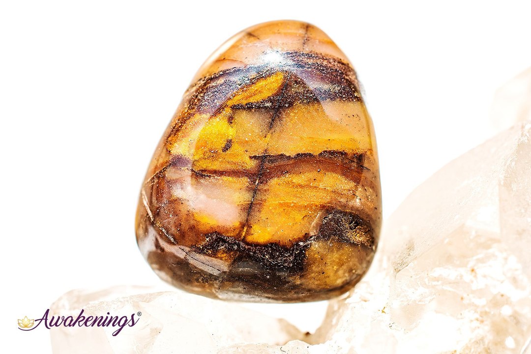 Bamboo Leaf Agate - Tumbled