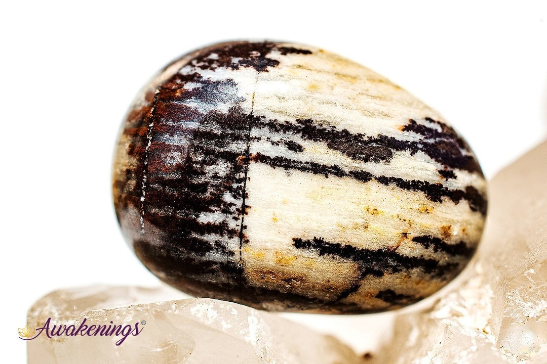 Bamboo Leaf Agate - Tumbled