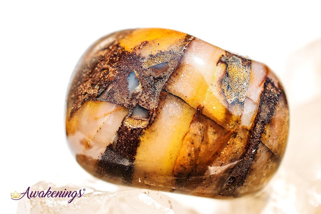 Bamboo Leaf Agate - Tumbled