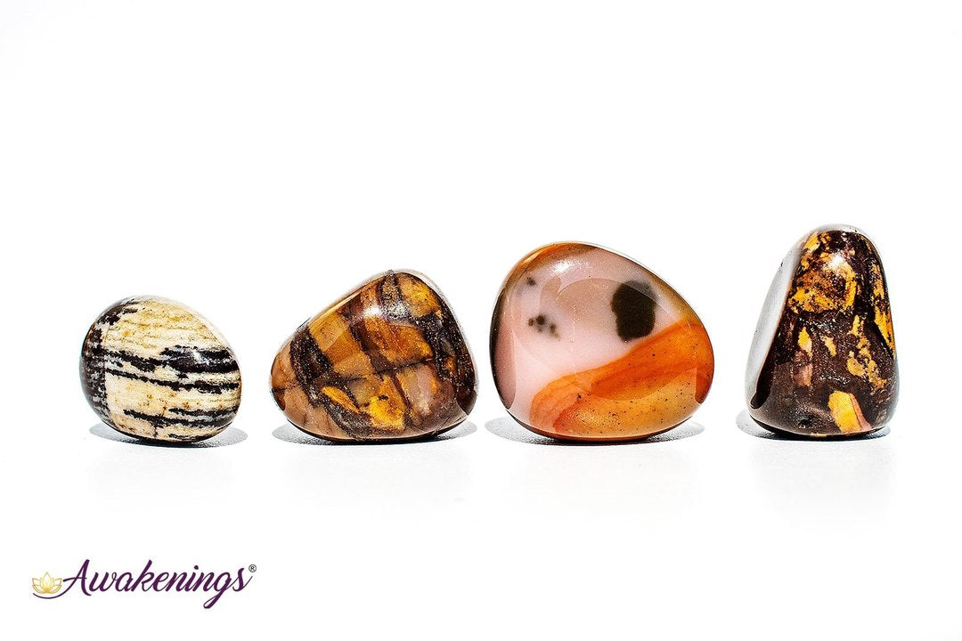 Bamboo Leaf Agate - Tumbled