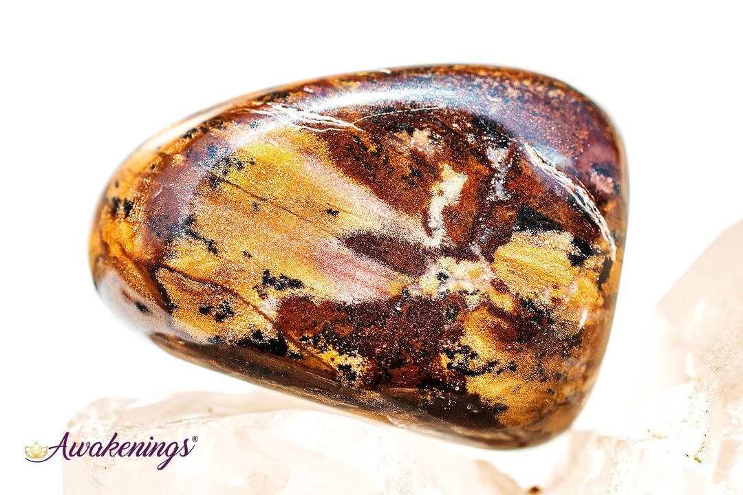 Bamboo Leaf Agate - Tumbled