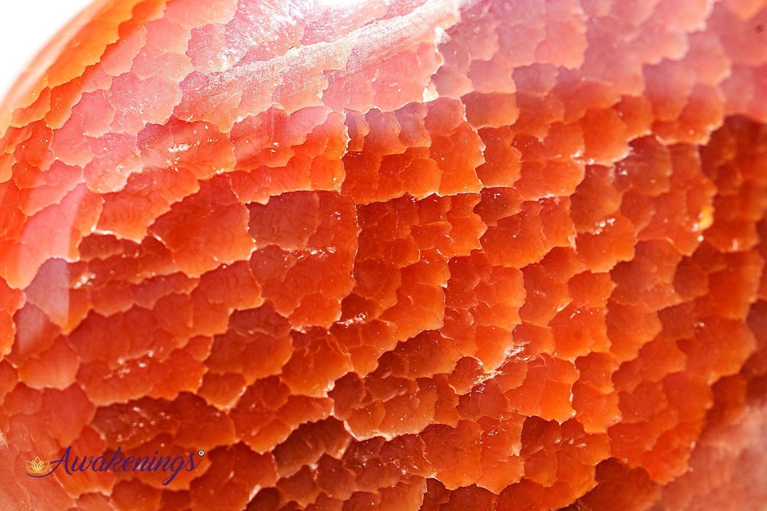 Fire Agate Palm/Pillow Stone