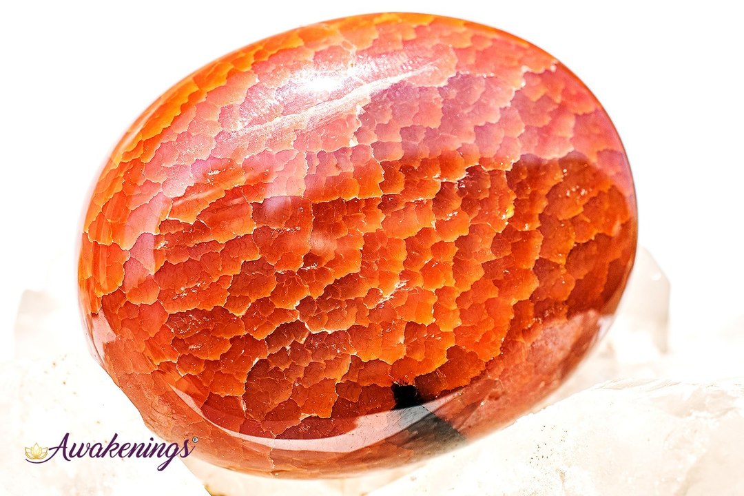 Fire Agate Palm/Pillow Stone